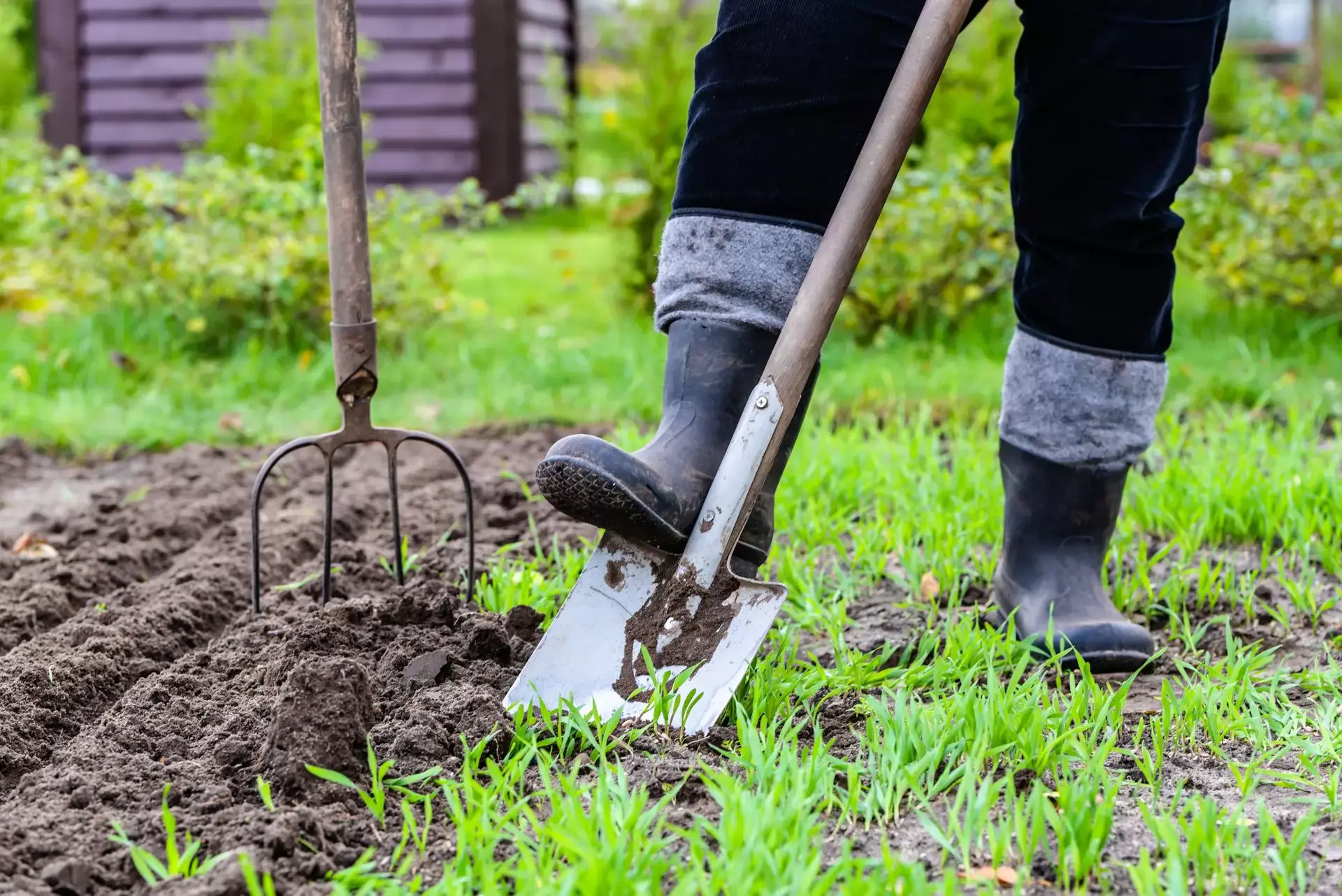 How to dig the soil in your garden &#8211; a comprehensive guide