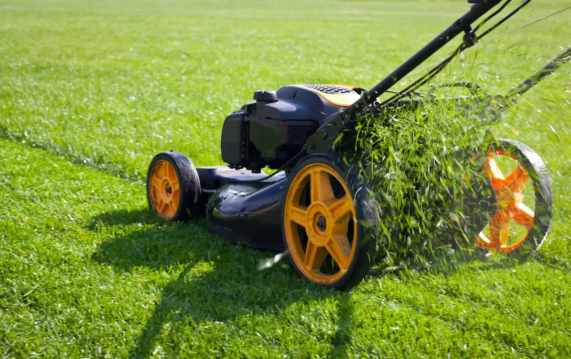 Best petrol mulching lawn mower sale