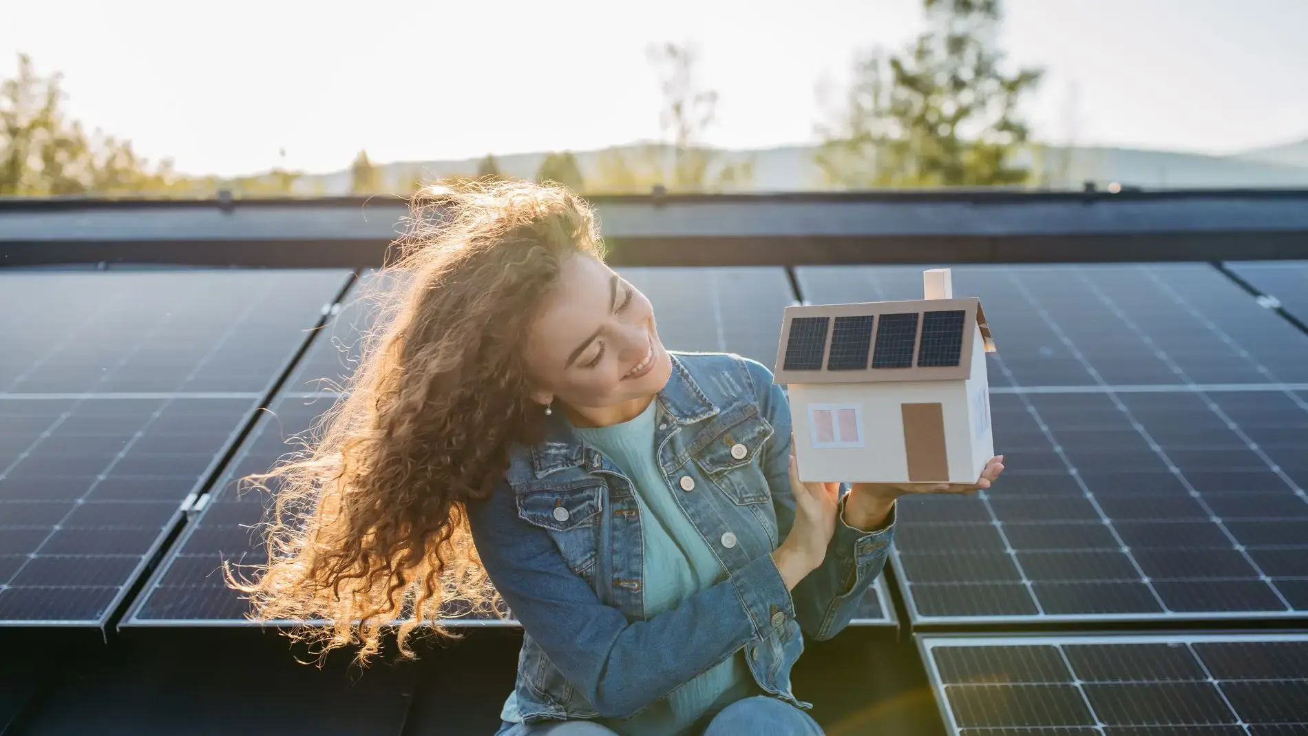 Die Grundlagen über Photovoltaik